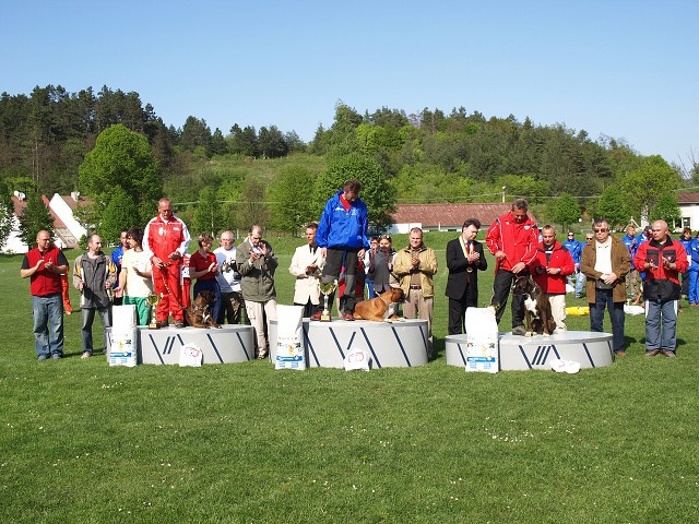 www.atibox.net * www.euroboxer.eu * www.boxergenealogia.eu